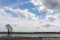 Afgraving voor nieuwe natuur-5061